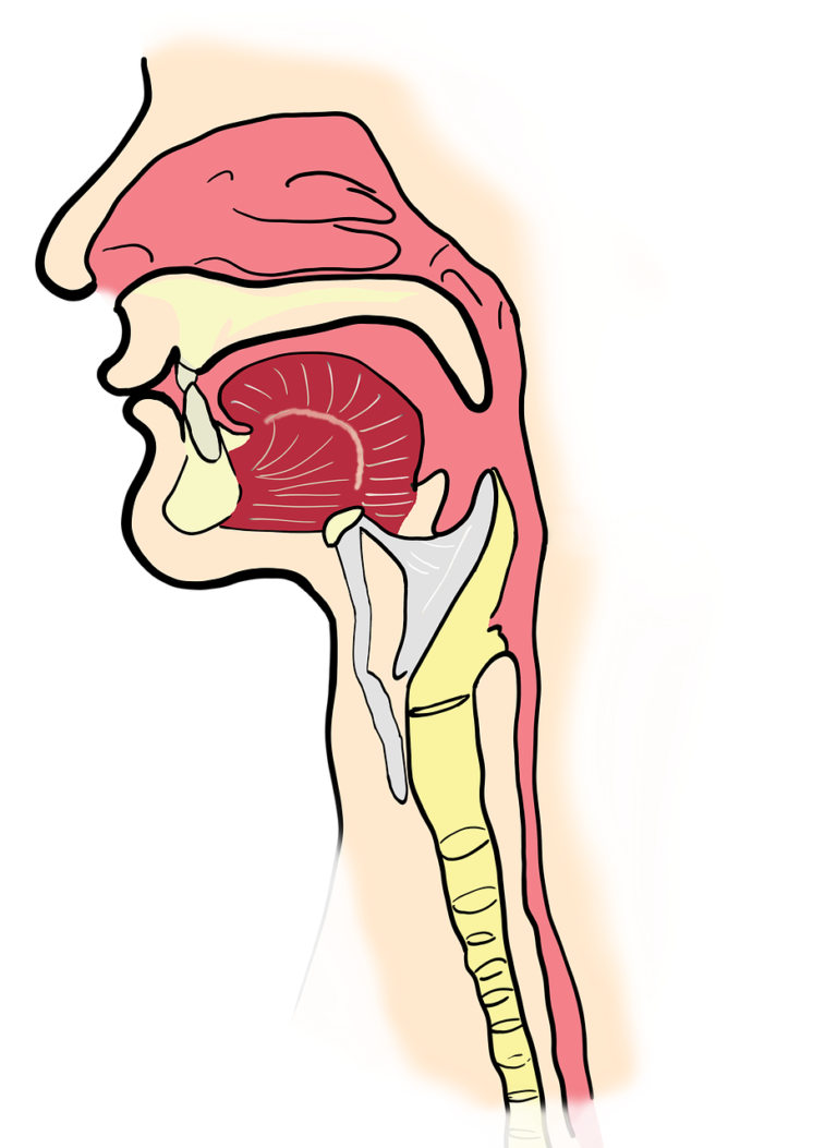 can-you-diagnose-strep-by-looking-at-it-drcoller